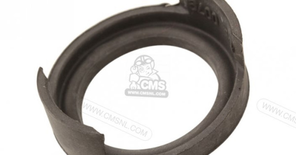 11061-0079 Gasket, Plug Hole